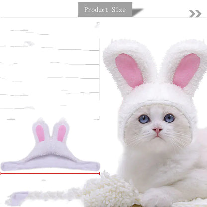 Halloween Ghost Lion Pet Transformation